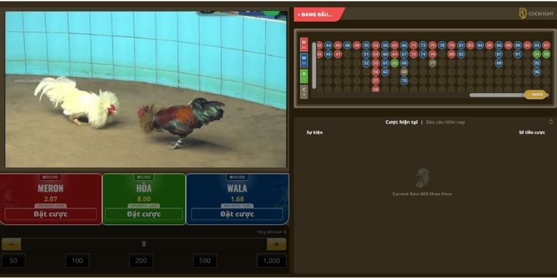 Chia sẻ các bước cá cược đá gà tại BET88
