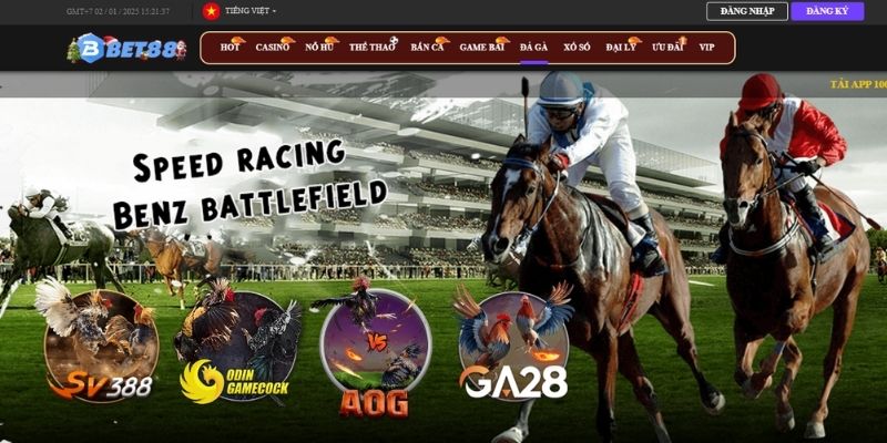 Tổng hợp những sảnh cược đá gà tại nhà cái BET88